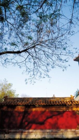 畢業(yè)旅行:走進(jìn)中國古代最高學(xué)府國子監(jiān)